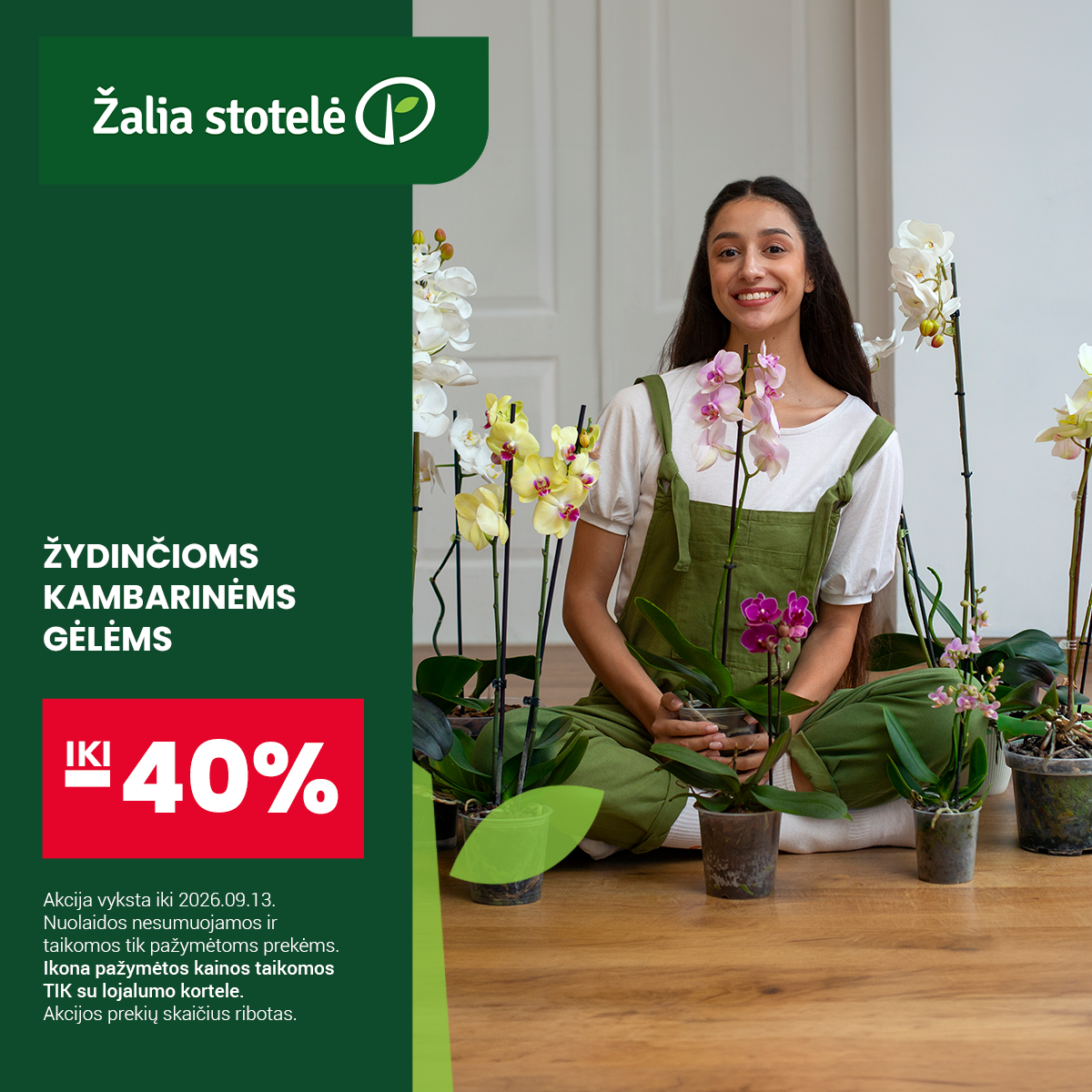 Žaliastotelė.lt Facebook ad: Lapinėms kambarinėms gėlėms iki -40%