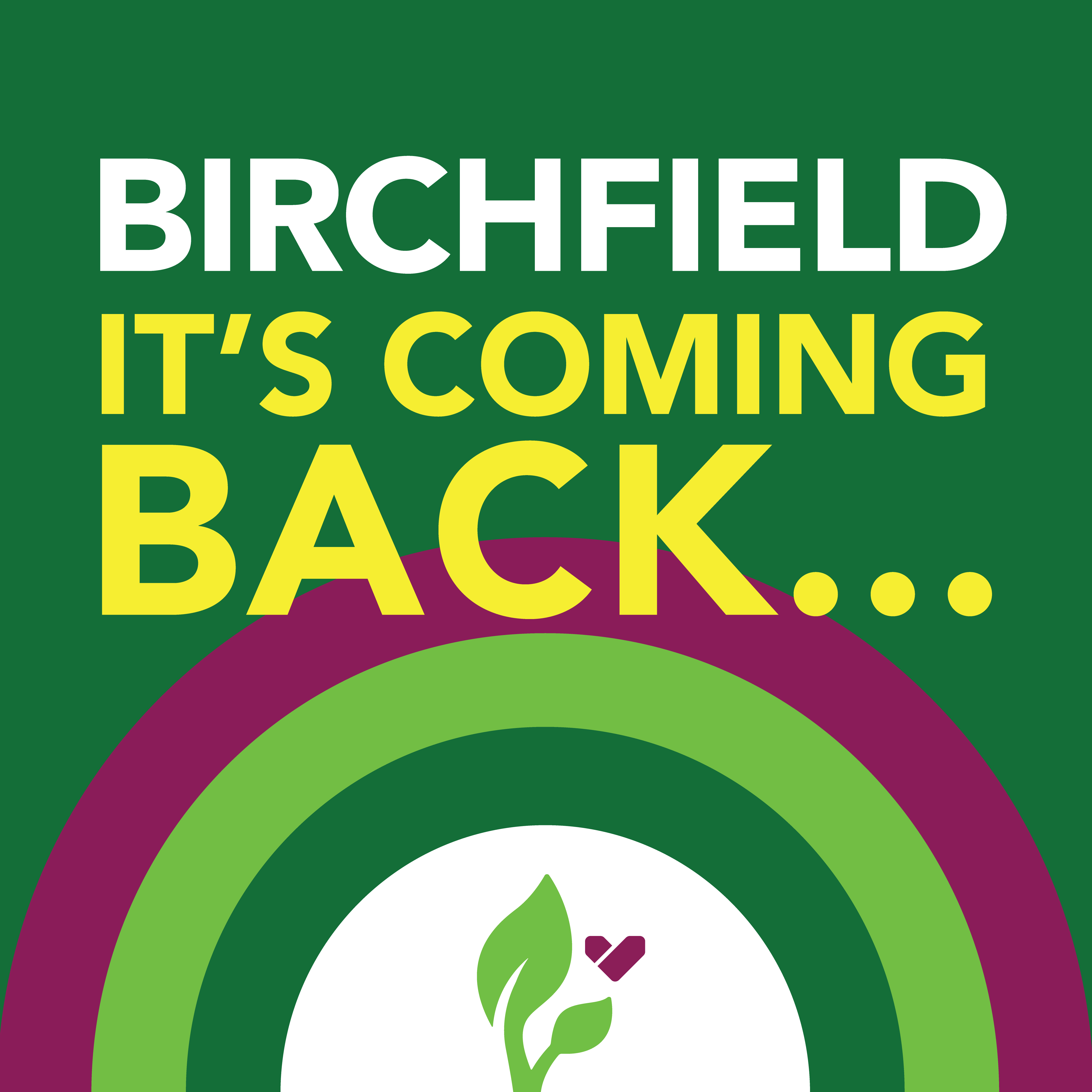 Birmingham City Council Facebook ad