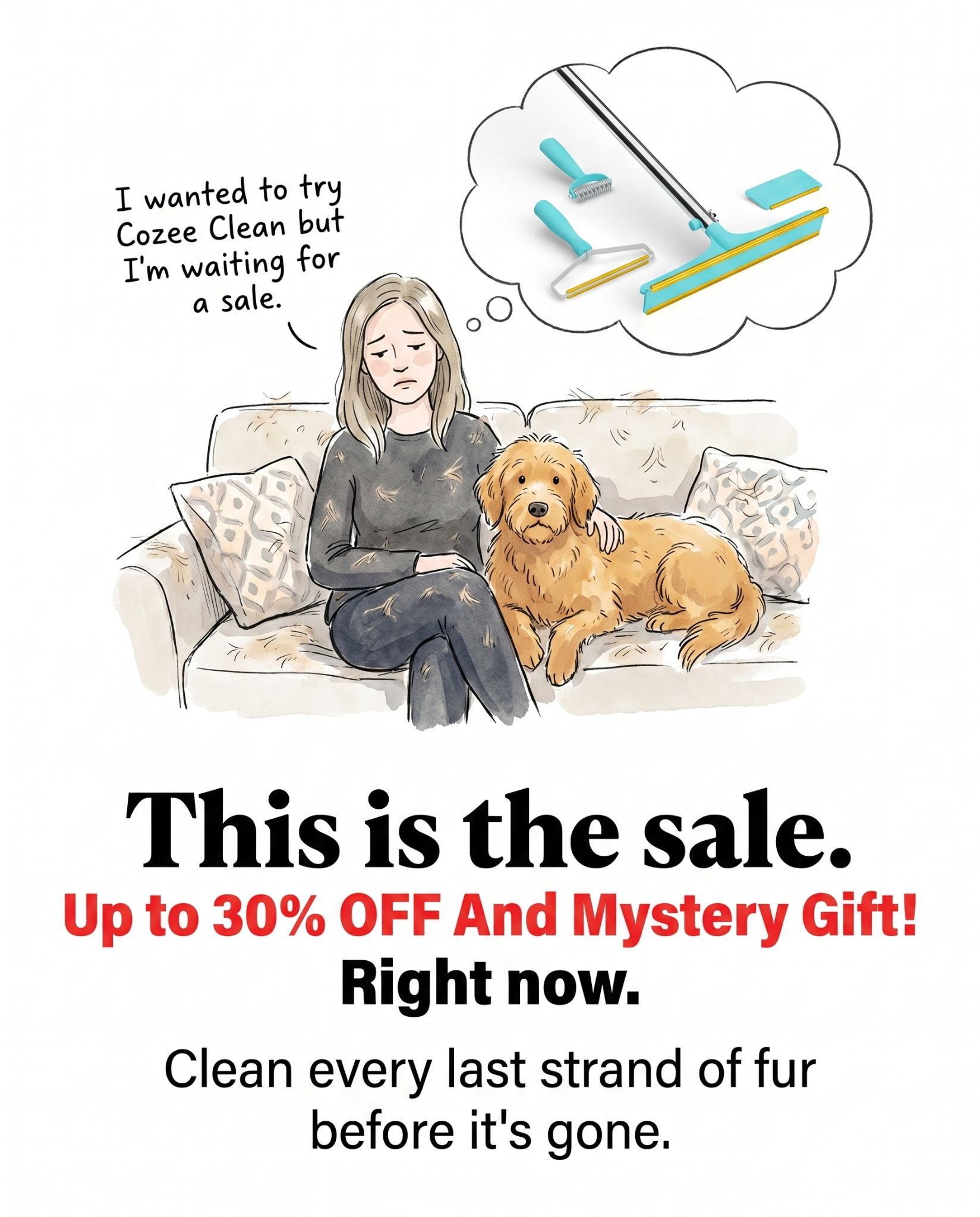 Cozee Clean Facebook ad: The #1 Pet Hair/Lint/Dust Cleaner