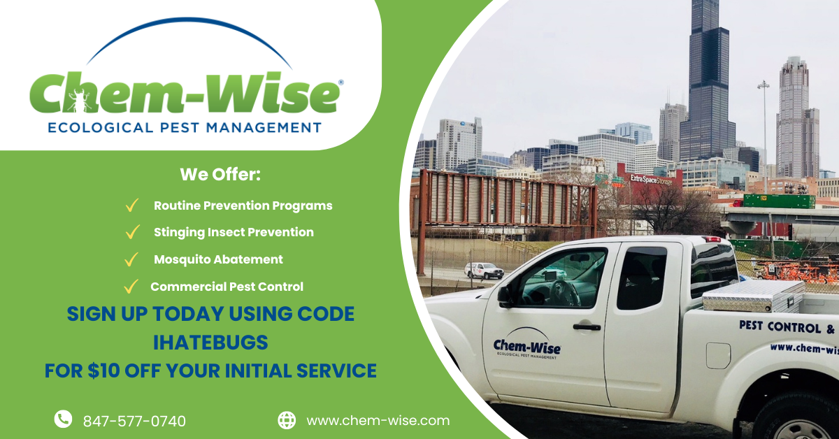 Chem-Wise Ecological Pest Management Facebook ad: Locally Owned
