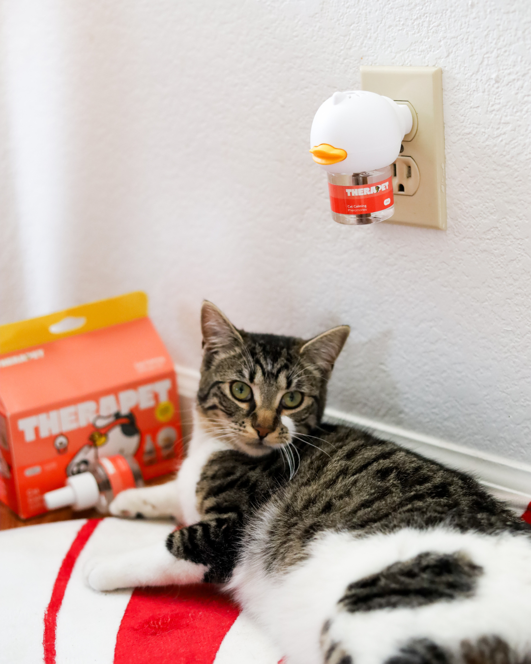 TheraPet Facebook ad