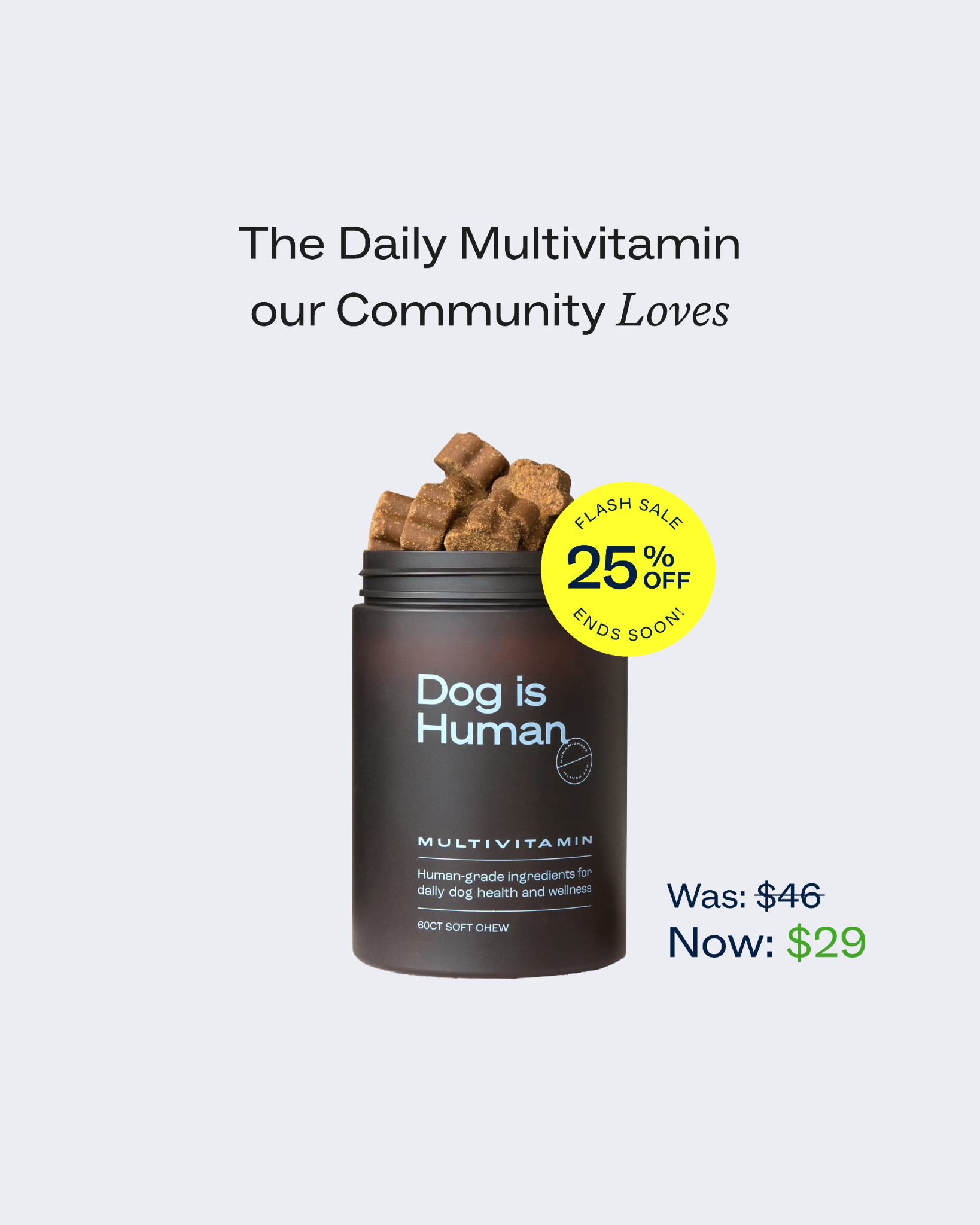 Dog is Human Facebook ad