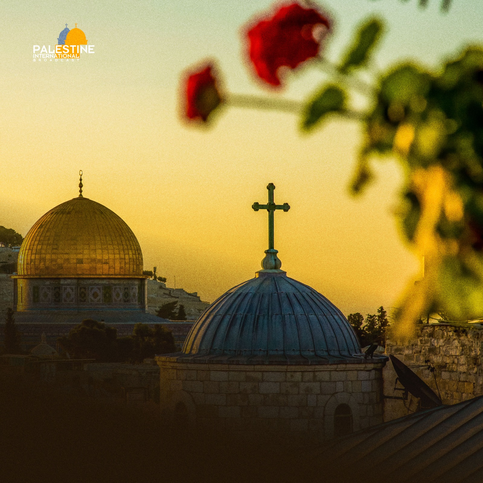Palestine International Broadcast Facebook ad