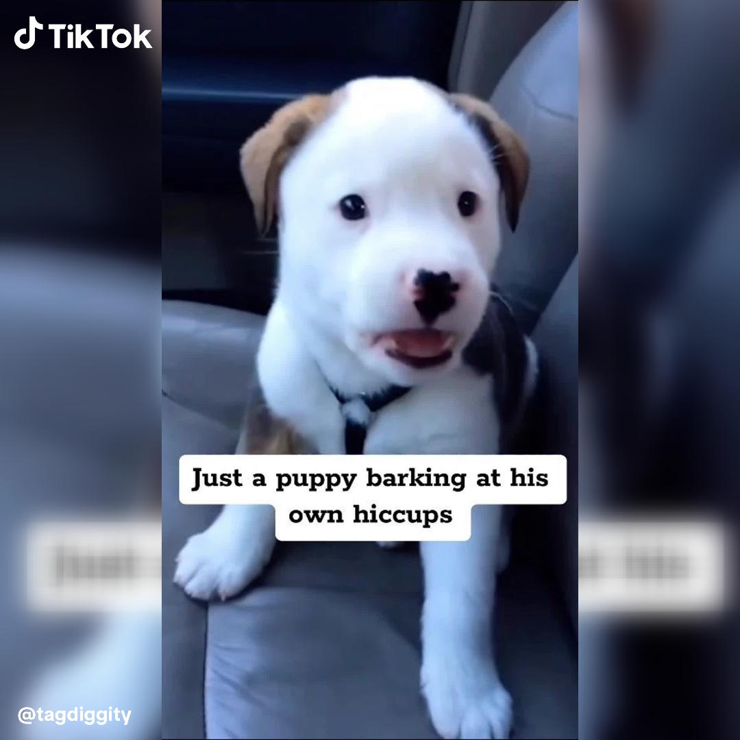 TikTok - US Facebook ad