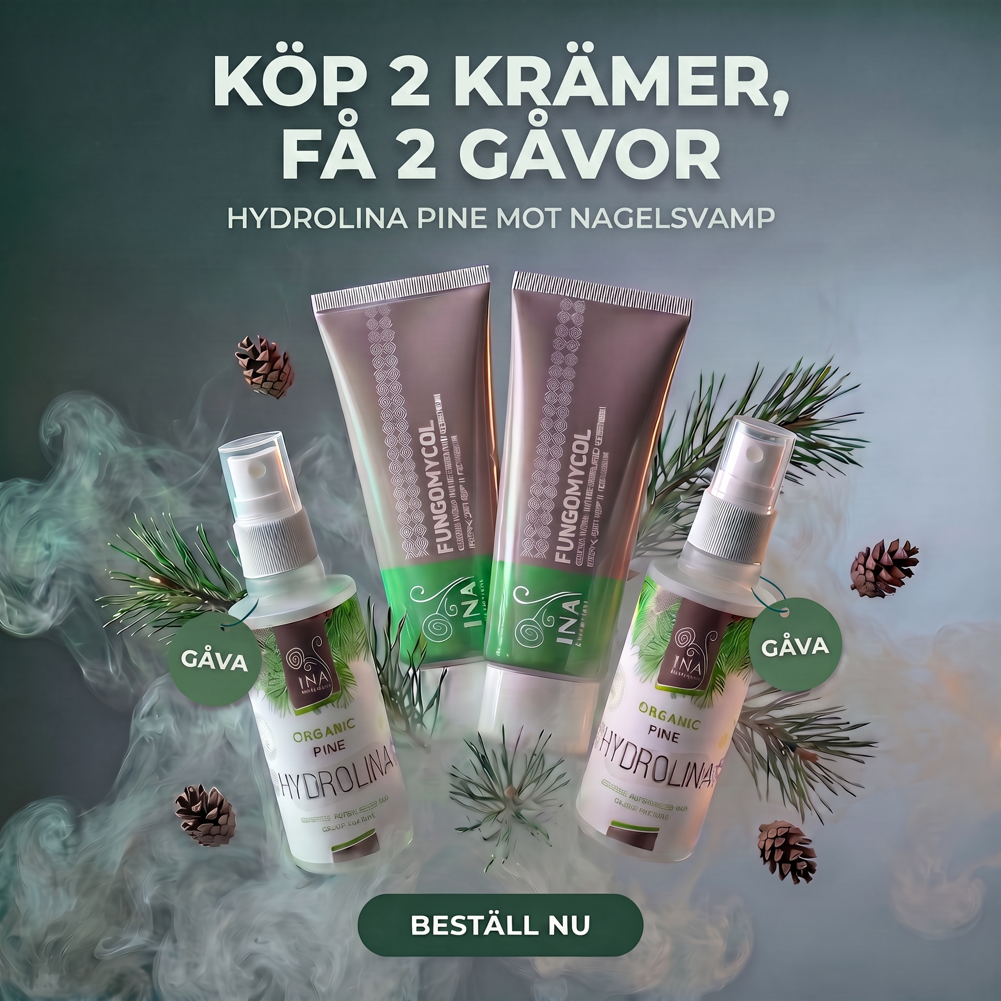 Naturlig och Ekologisk Kosmetika - InaEssentials.se Facebook ad