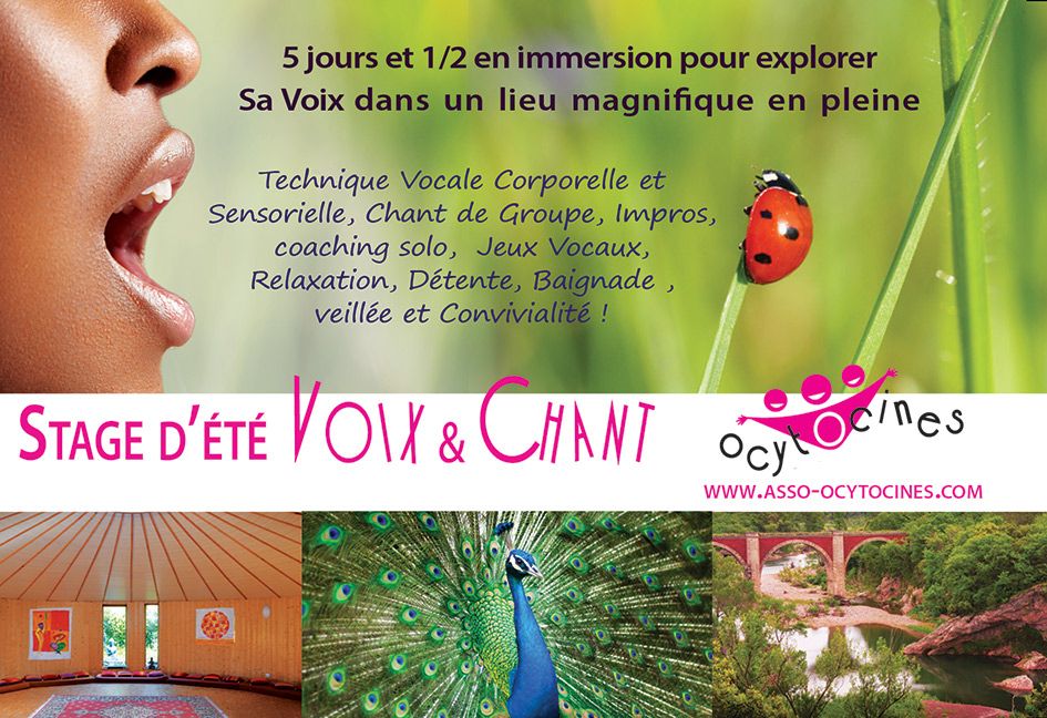 Association Ocytocines Facebook ad: Stage Chant & Voix dans la nature 3 dates - juillet août 26