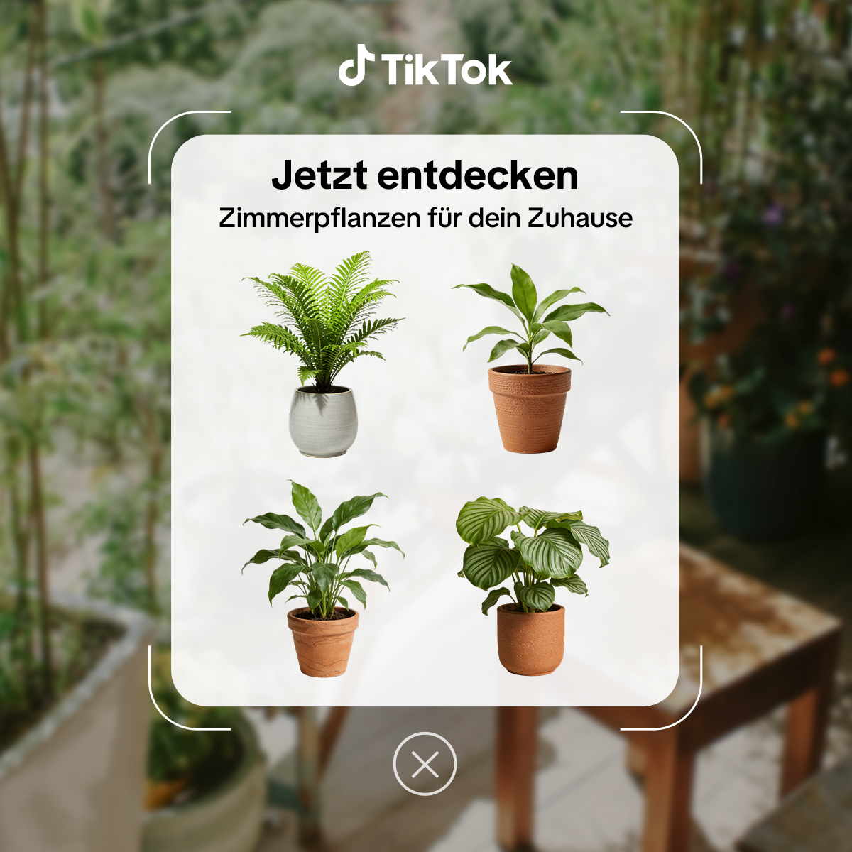 TikTok - EU Facebook ad