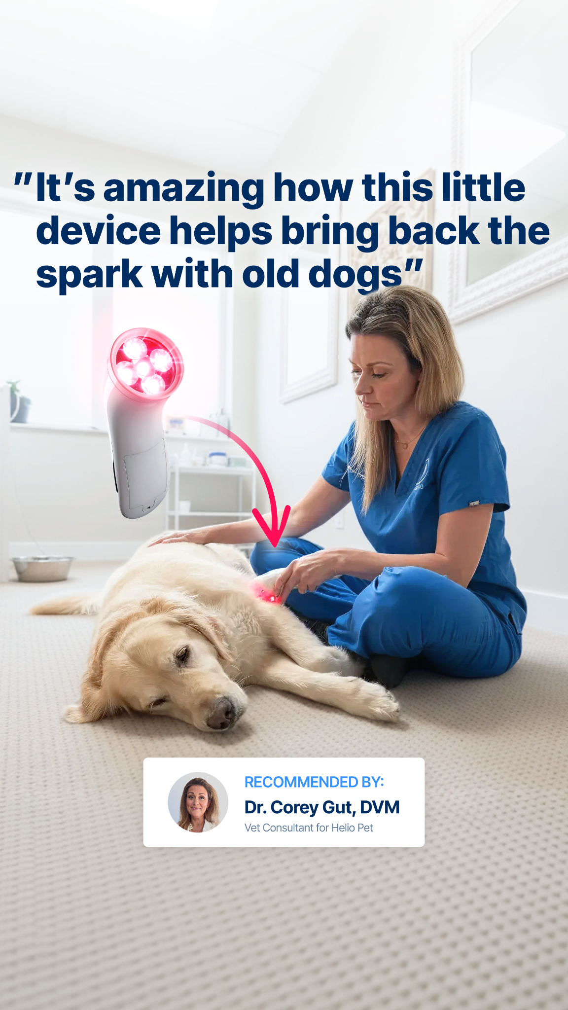 Helio Pet Facebook ad