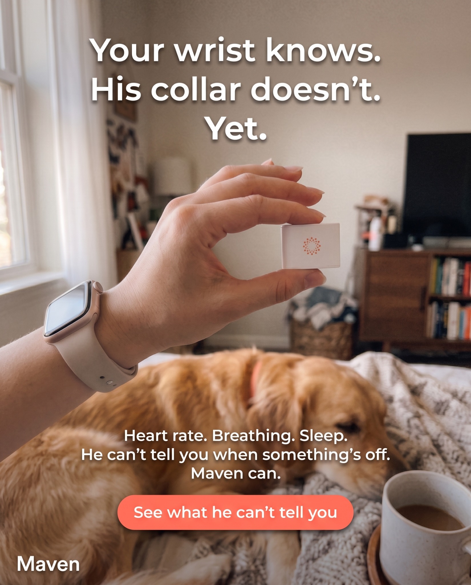 Maven Pet Facebook ad