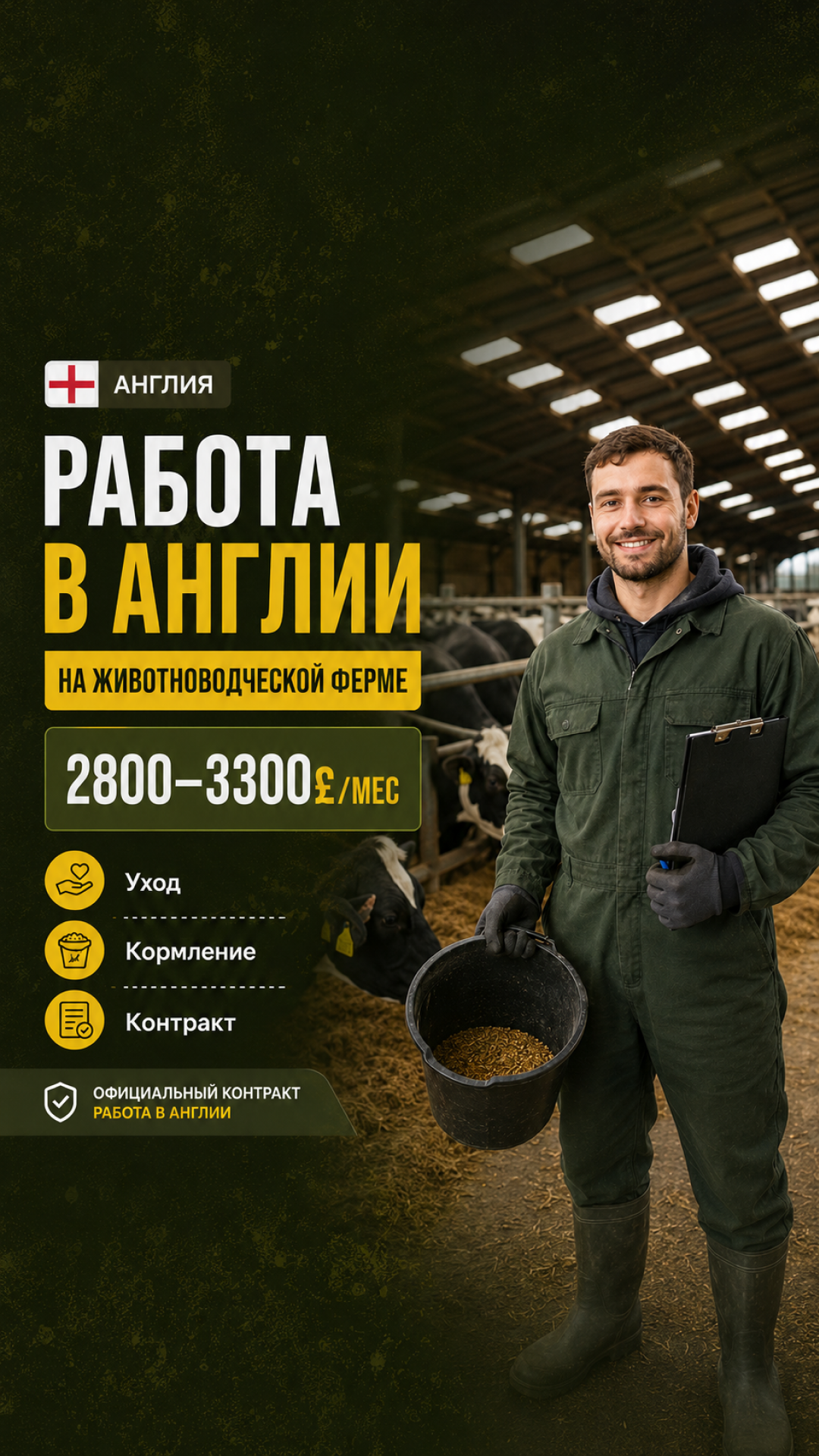 Job Bridge Company Facebook ad: Работа в Великобритании, Прямо в точку