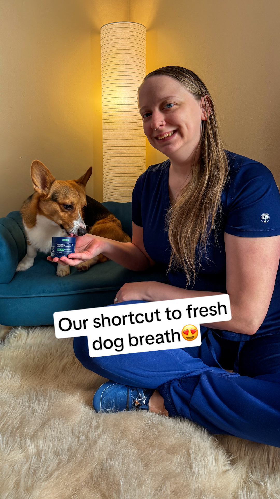 Laszlo The Corgi Facebook ad