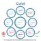 Cafoli Lifecare - PCD Pharma Franchise