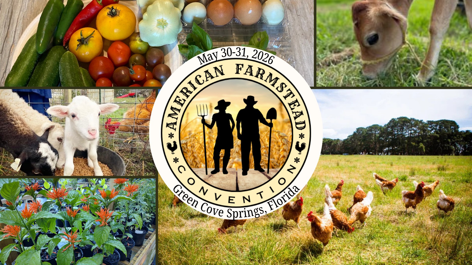 American FarmsteadHers Facebook ad: American Farmstead Convention-Your Homesteading Convention…