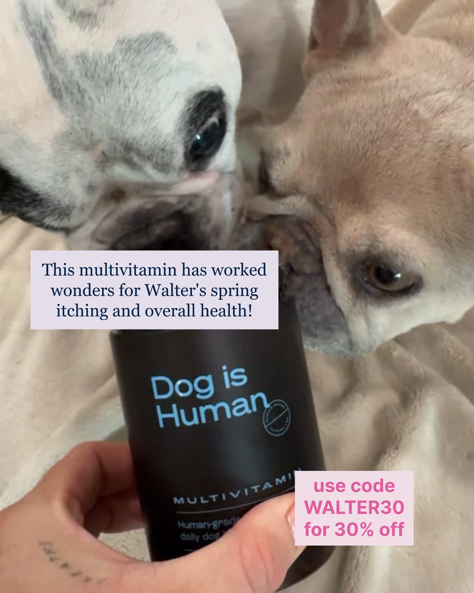 Dog is Human Facebook ad
