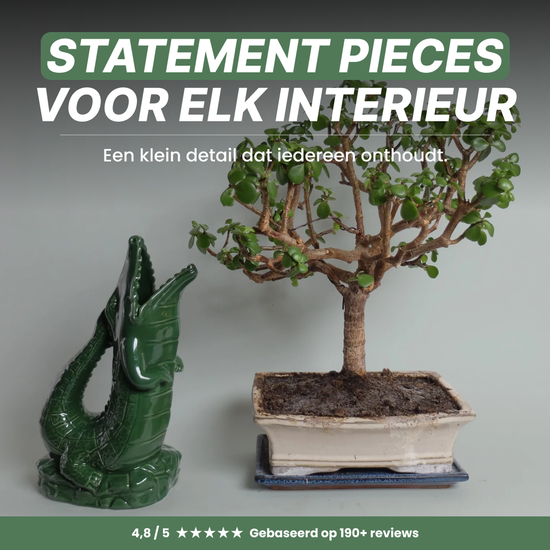 Designmarket.today Facebook ad: Maak een statement in je interieur