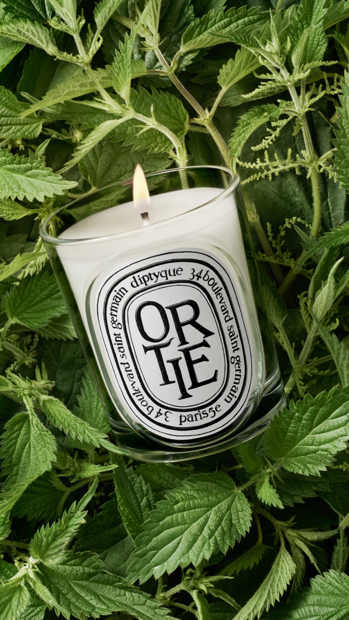 diptyque Facebook ad