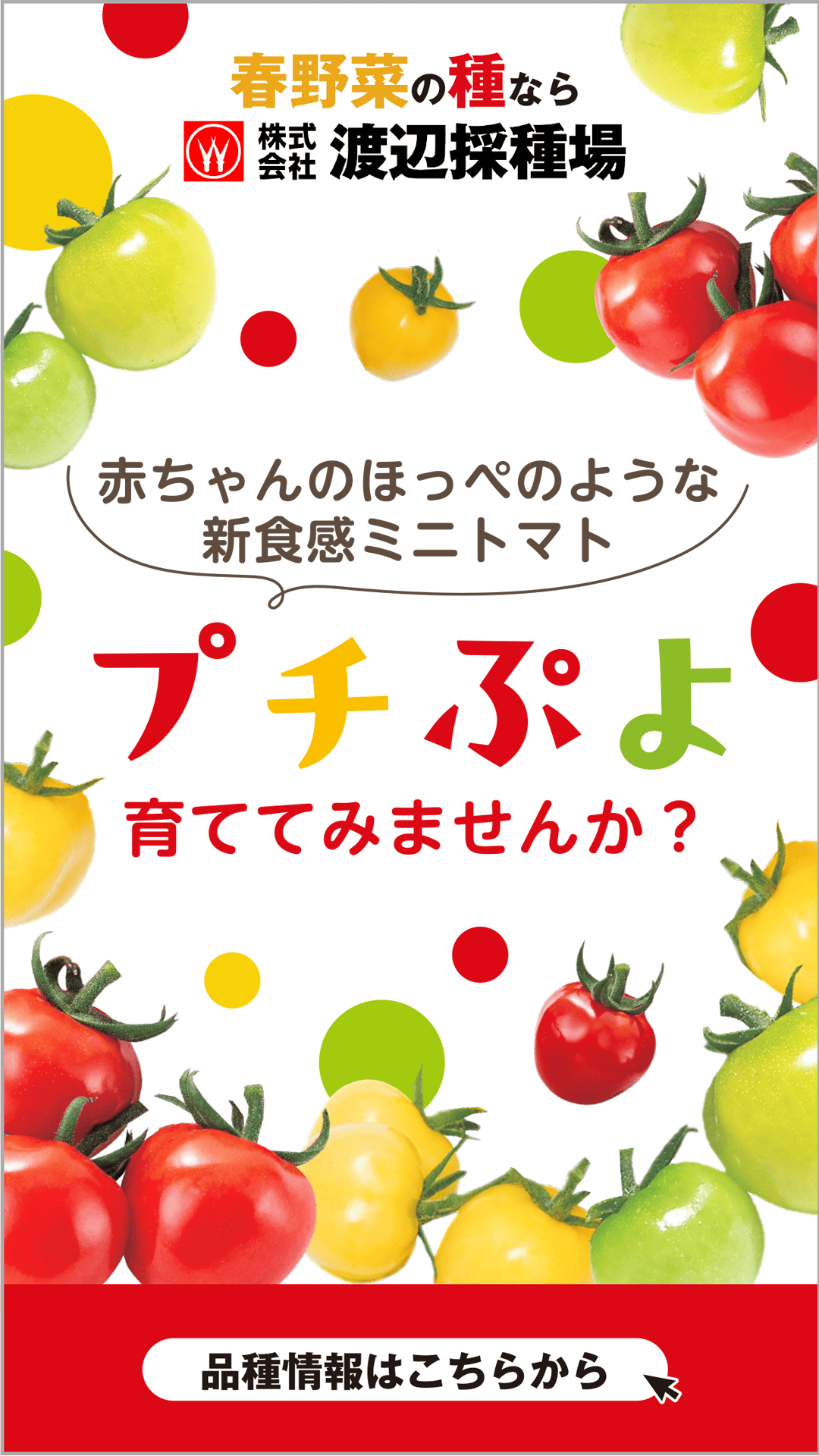 渡辺採種場 Facebook ad from Feb 28, 2026