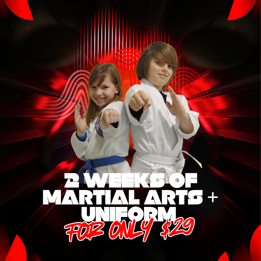 Lehigh Valley Samurai Academy Facebook ad