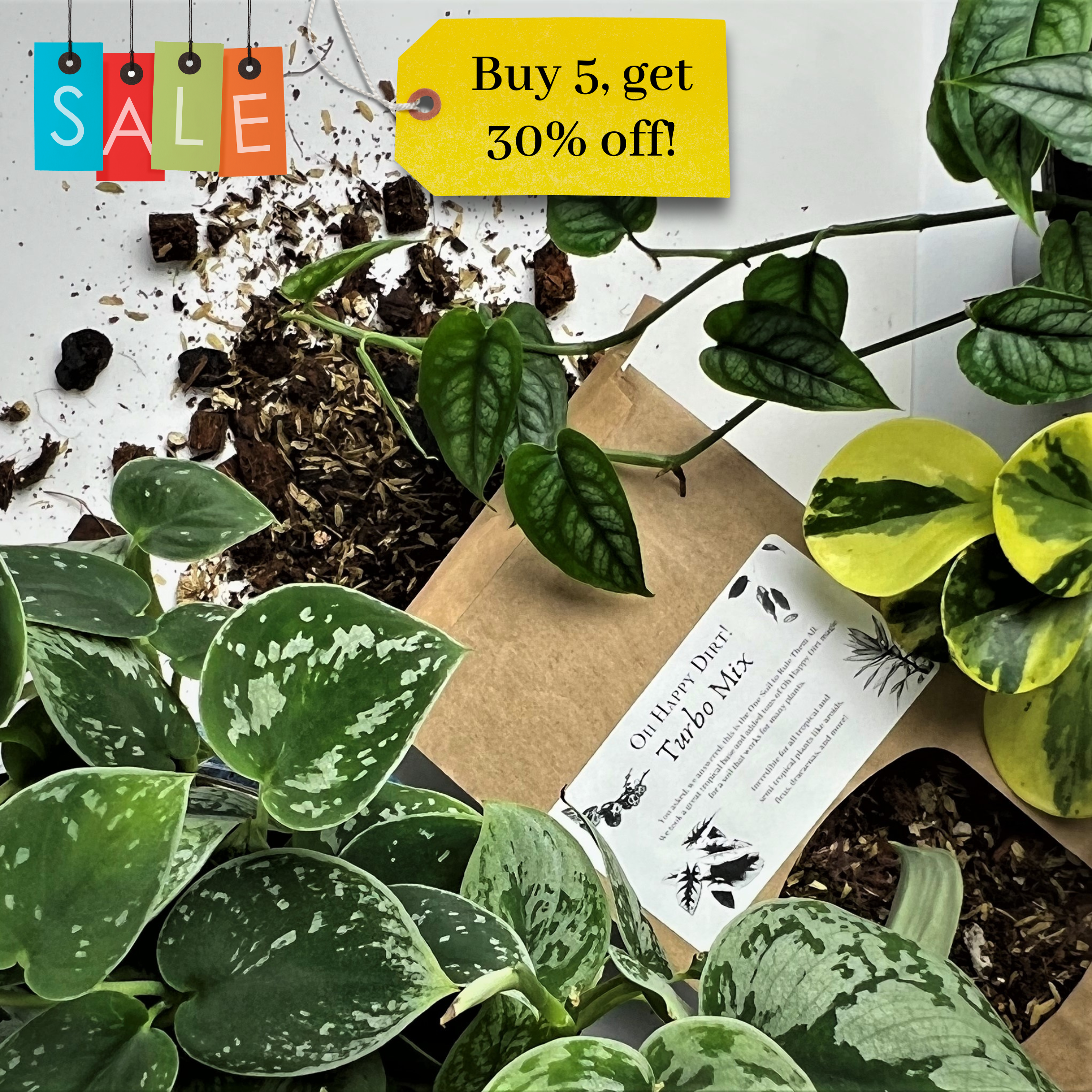 Oh Happy Plants Facebook ad