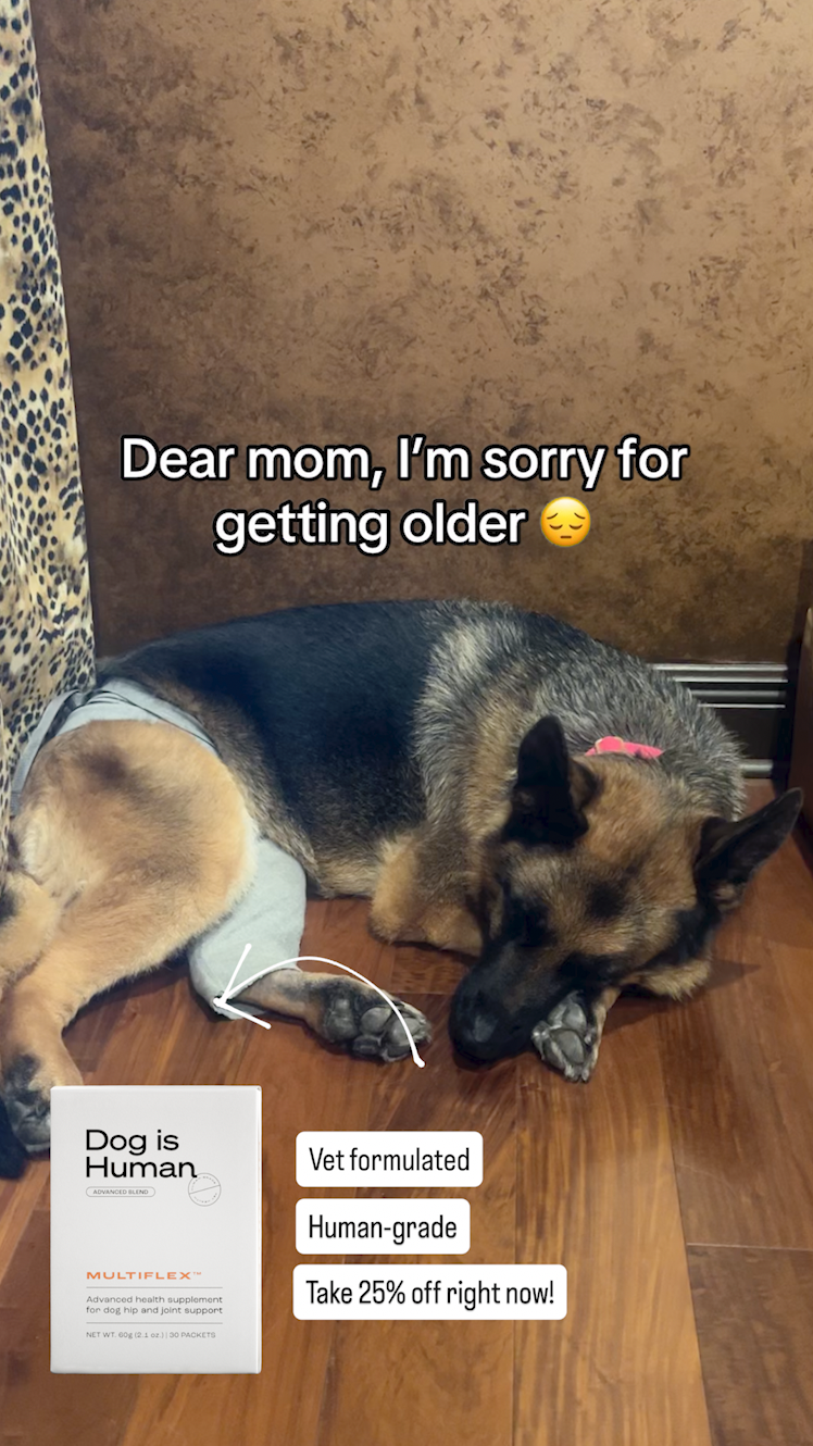 Dog is Human Facebook ad