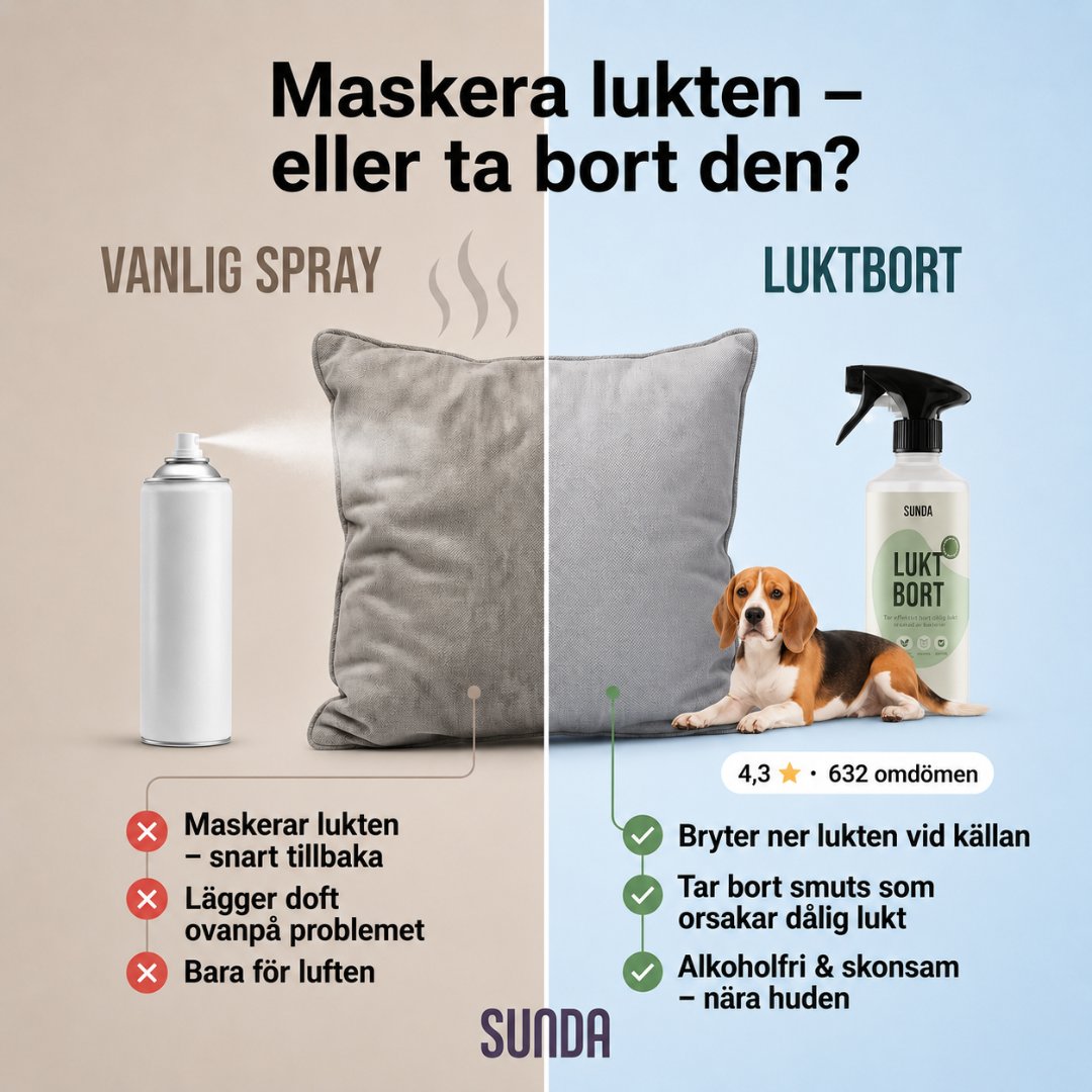 Sunda Facebook ad