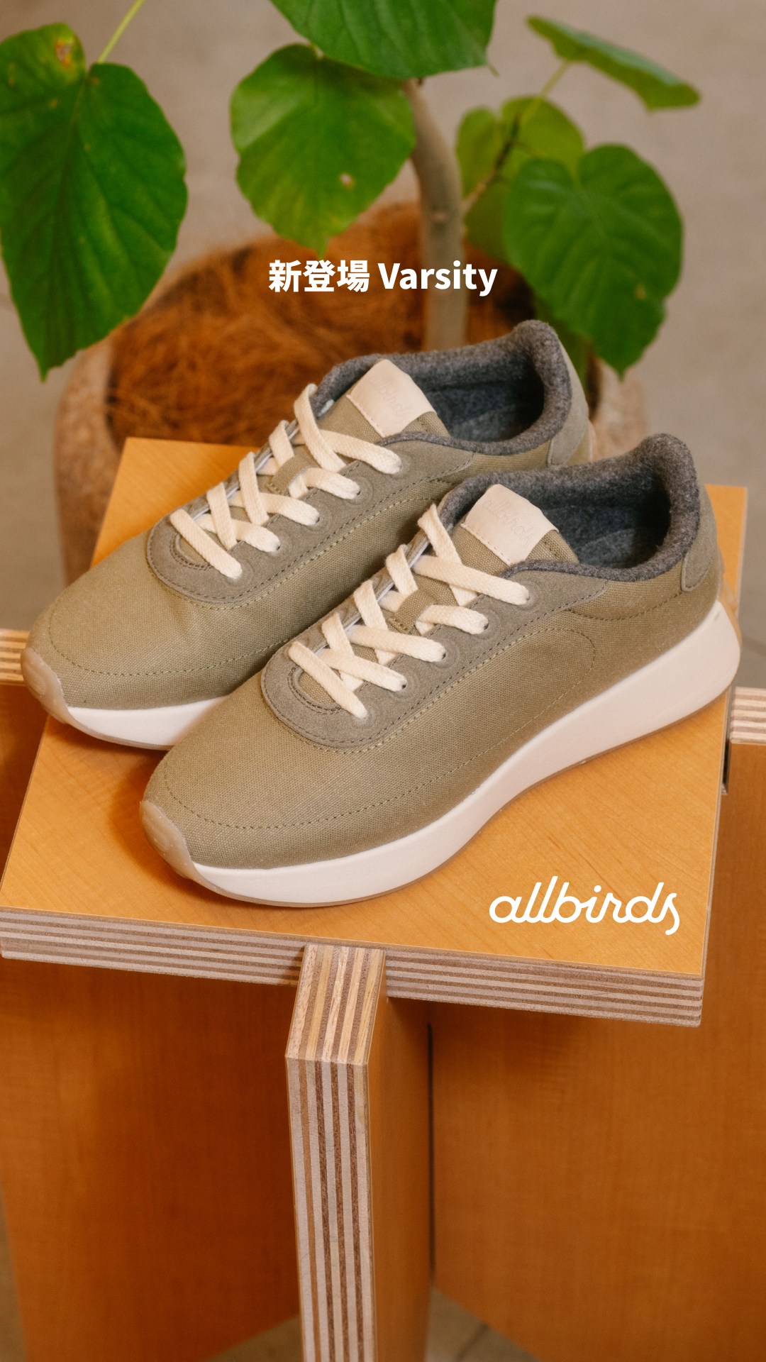Allbirds Japan Facebook ad