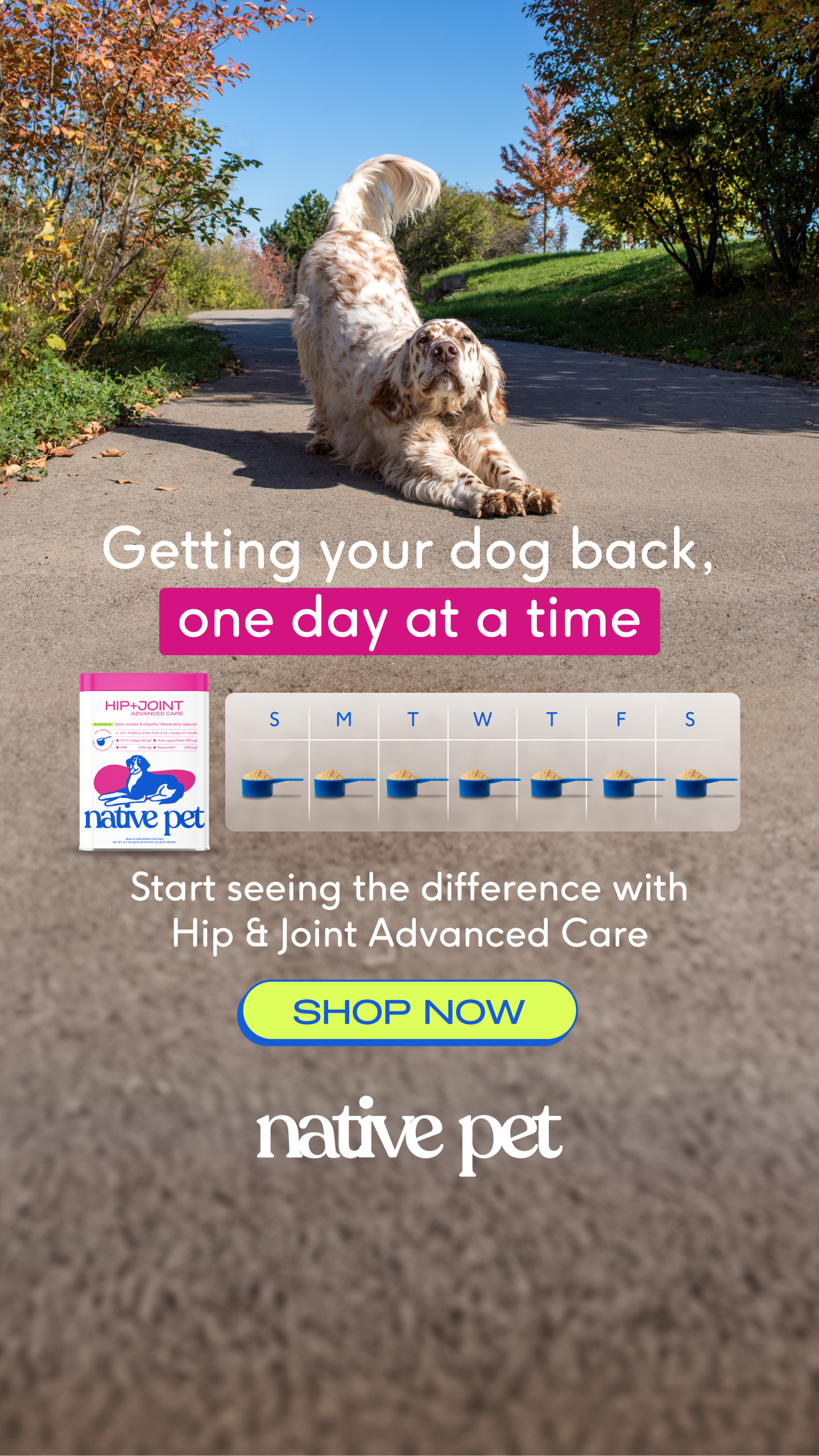 Native Pet Facebook ad
