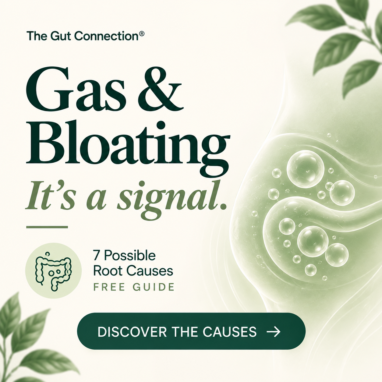 The Gut Connection Facebook ad: Gas drops don't restore digestive function.