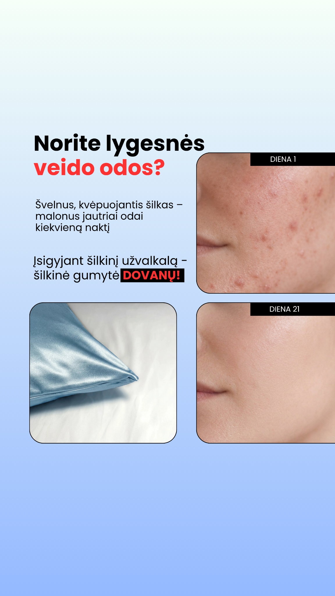 SilkEra Facebook ad: Tik šią savaitę: šilkinė plaukų gumytė nemokamai!