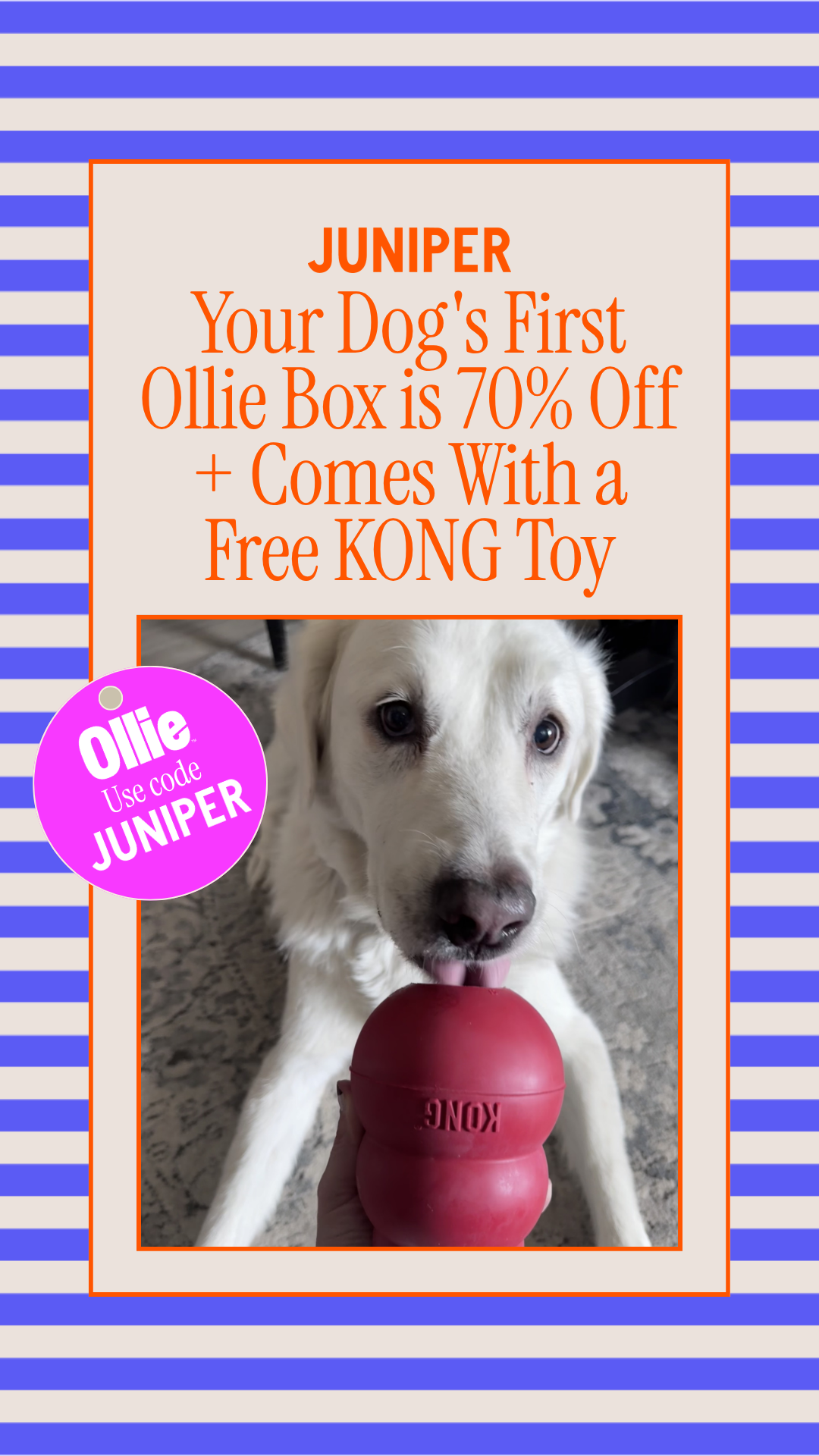 Juniper- The best online community for dog parents Facebook ad