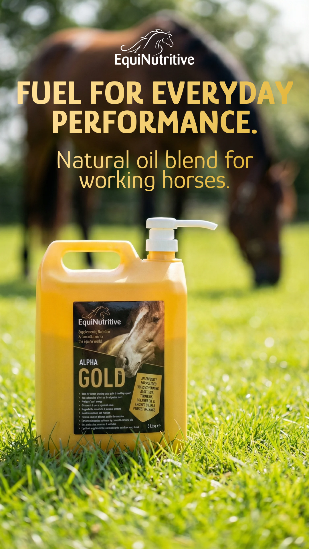 EquiNutritive Facebook ad