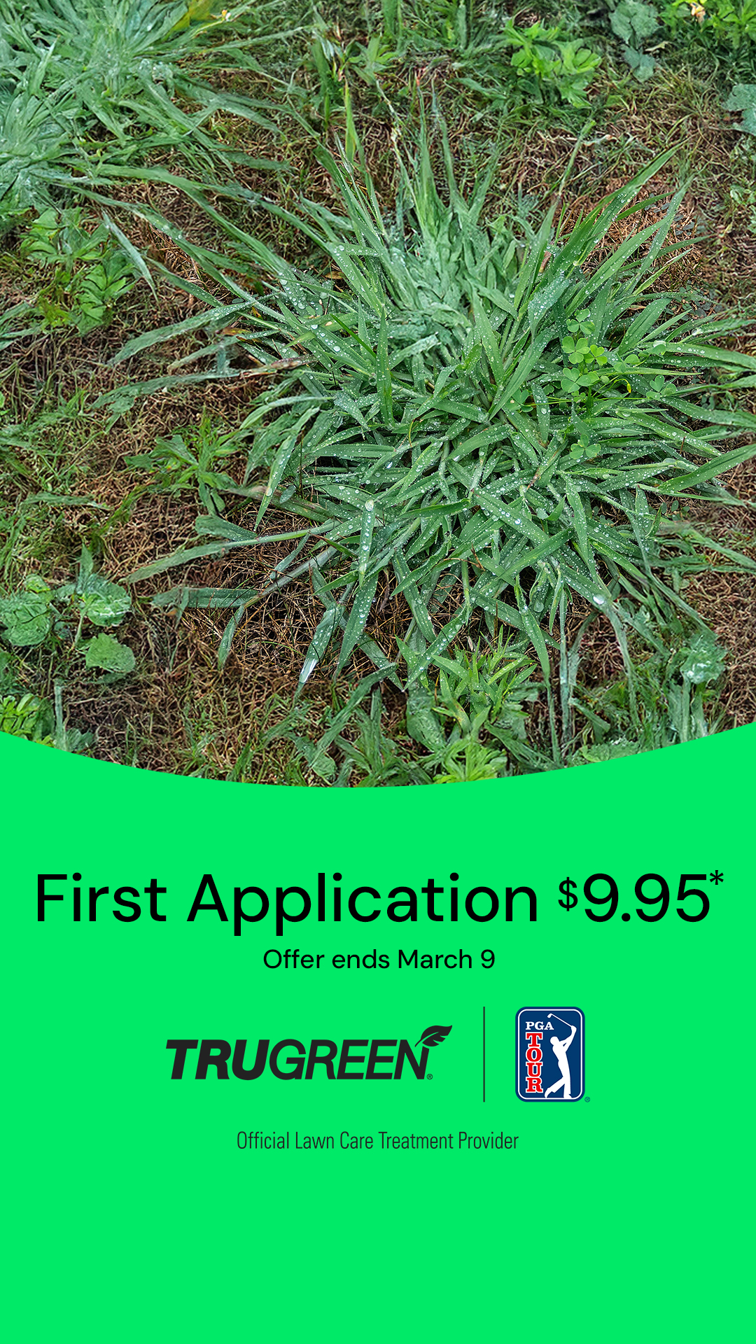 TruGreen Facebook ad from Feb 28, 2026