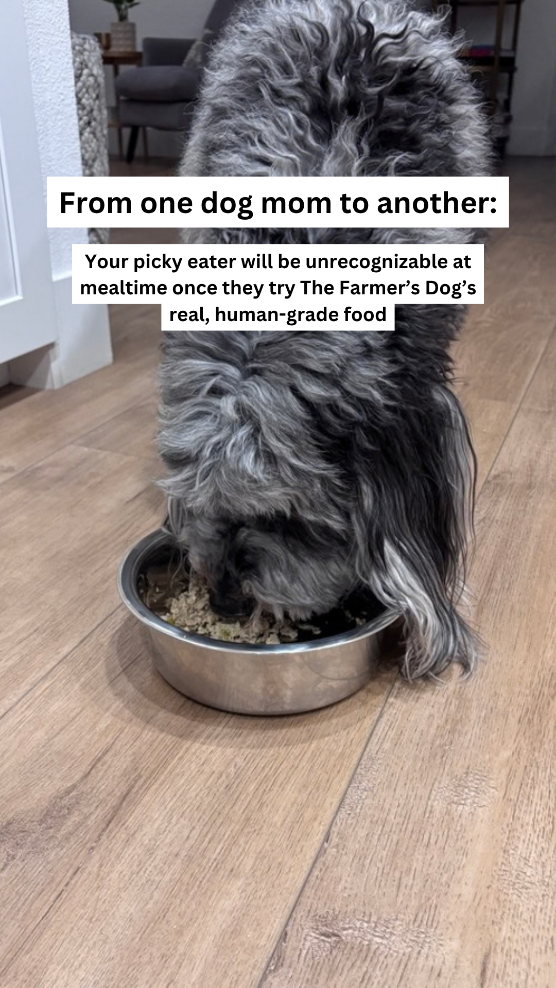 Rounds Of A Paws Facebook ad