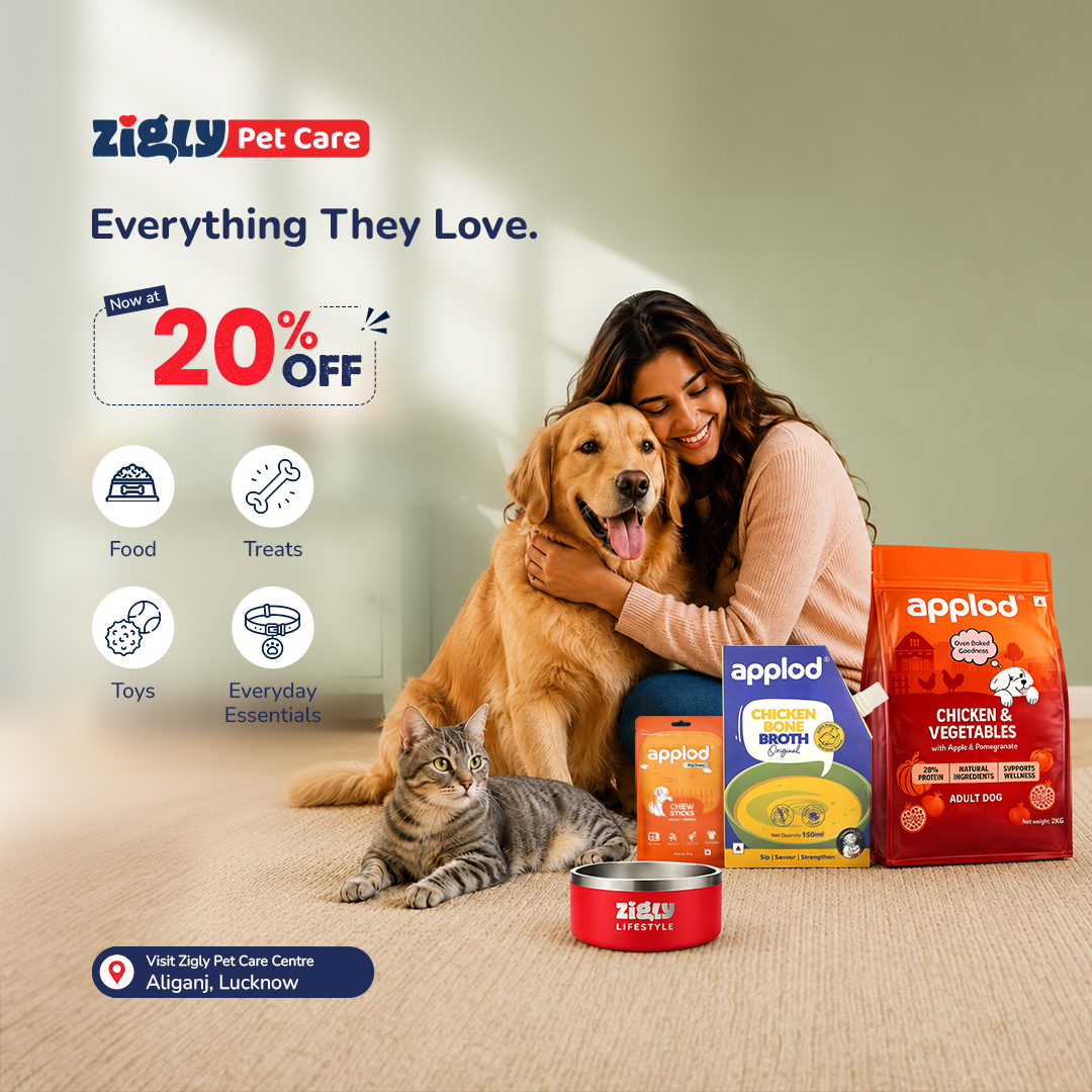 Zigly Facebook ad: Shop smarter. Save more.