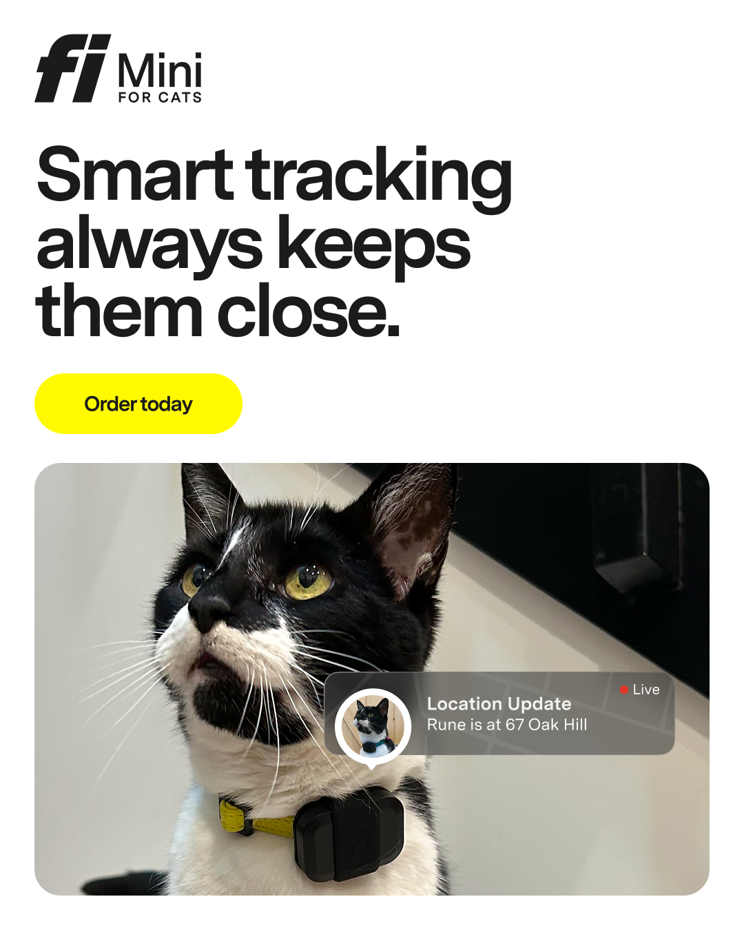 Fi Facebook ad