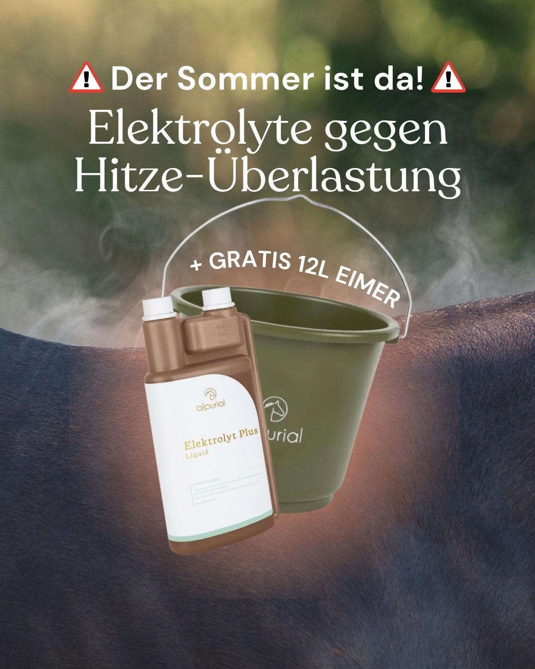 Alpurial Facebook ad from Jun 22, 2026