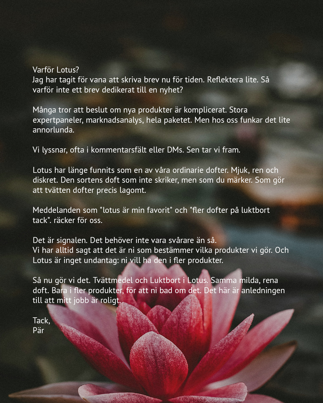 Sunda Facebook ad