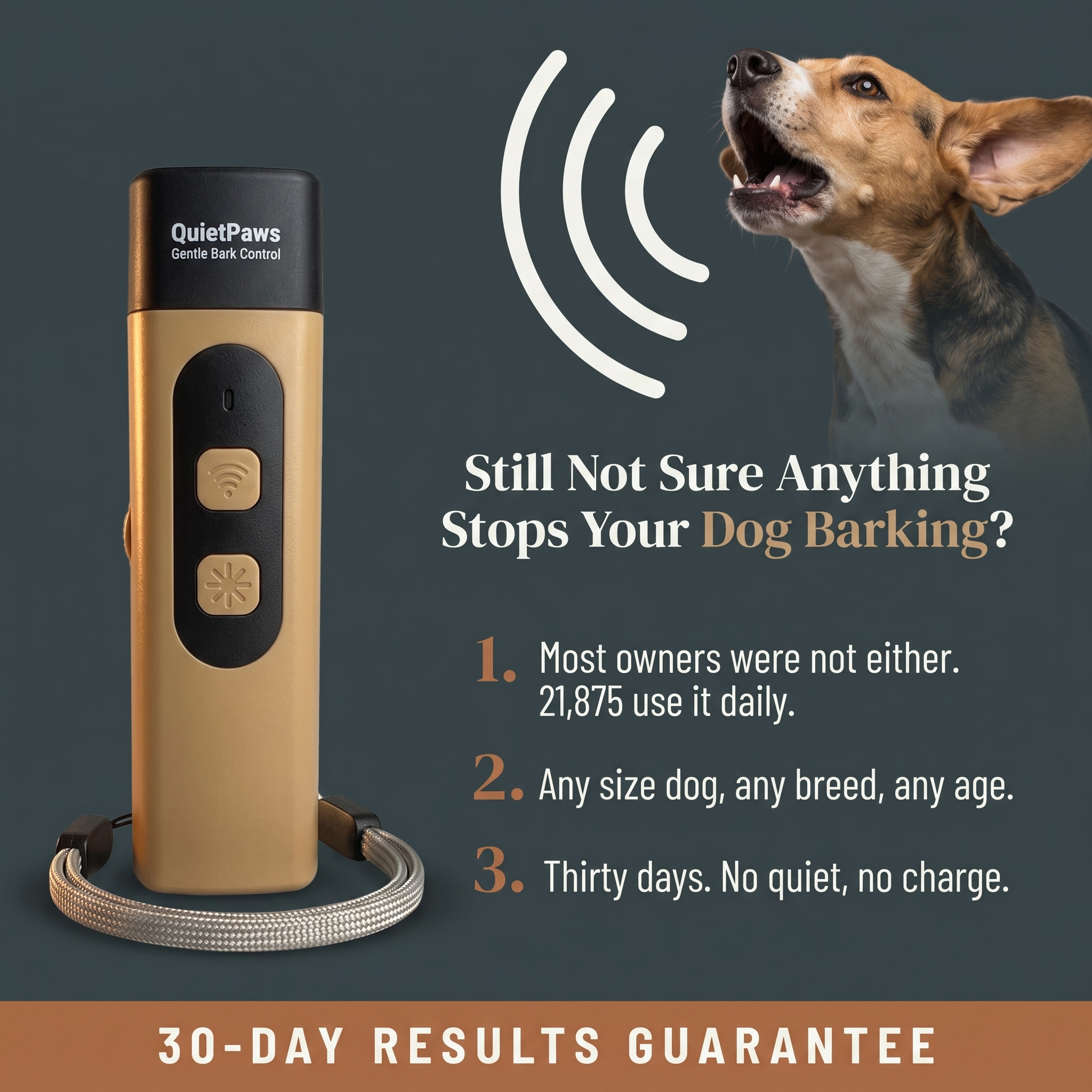 Hunters Doggy Daycare Facebook ad