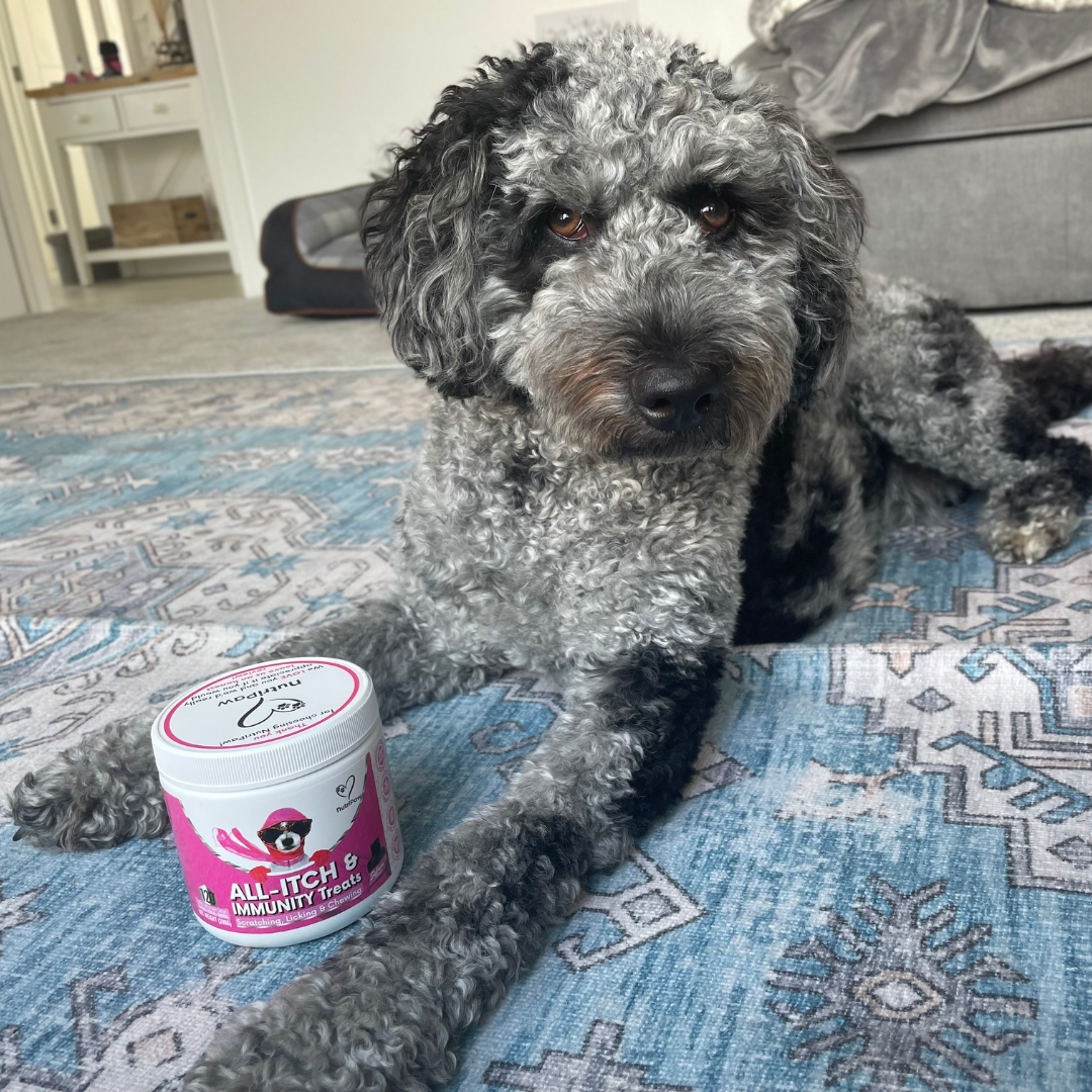 Nutri Paw Facebook ad