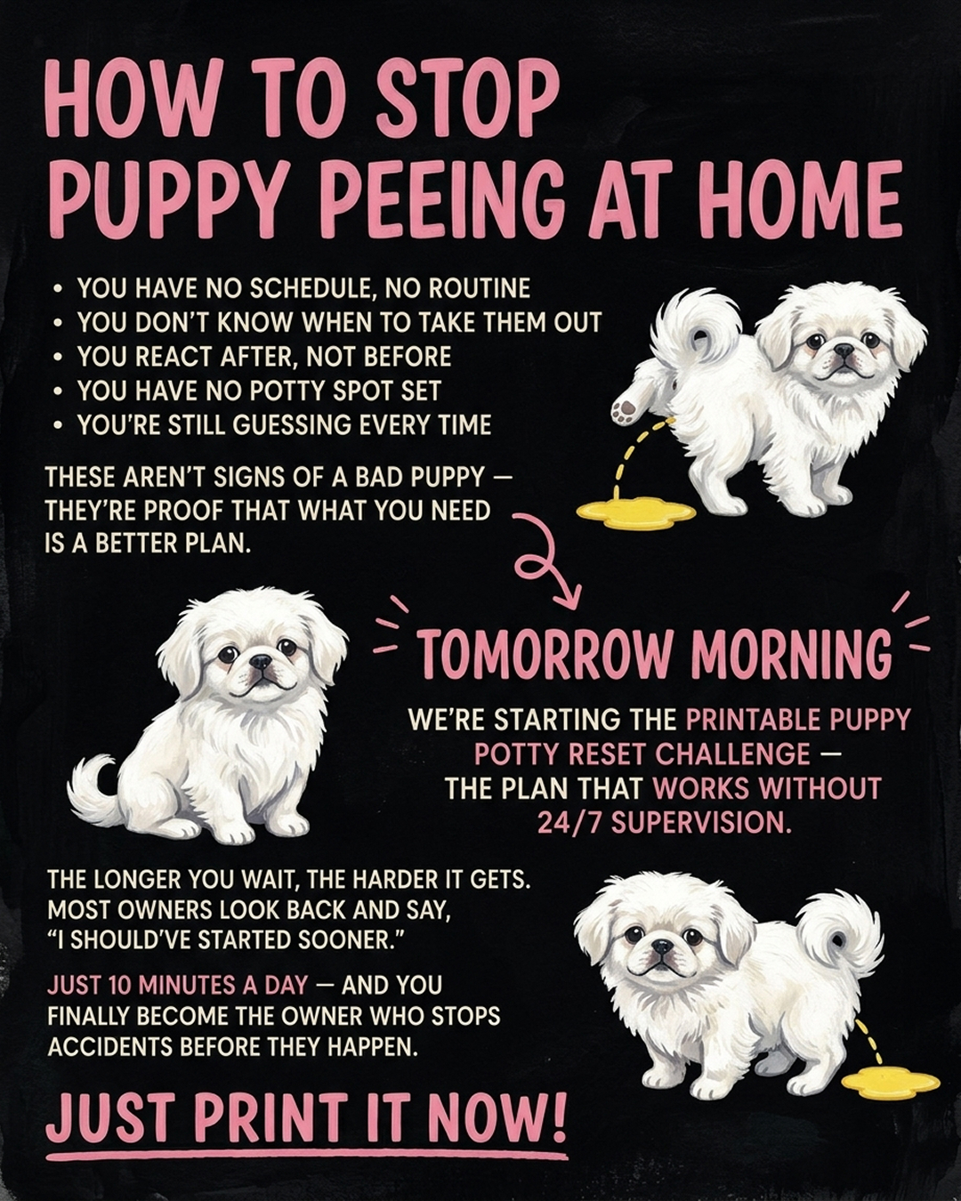 Puppy Tips for Training Facebook ad: #1 app for dog training