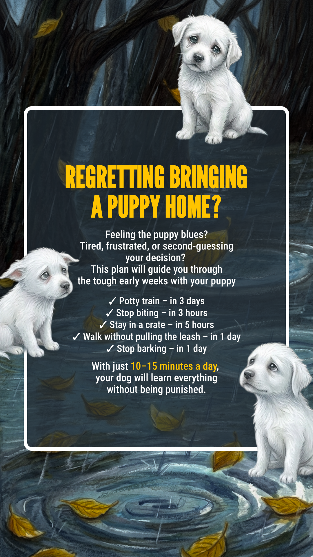 Woofz - Puppy Training Facebook ad
