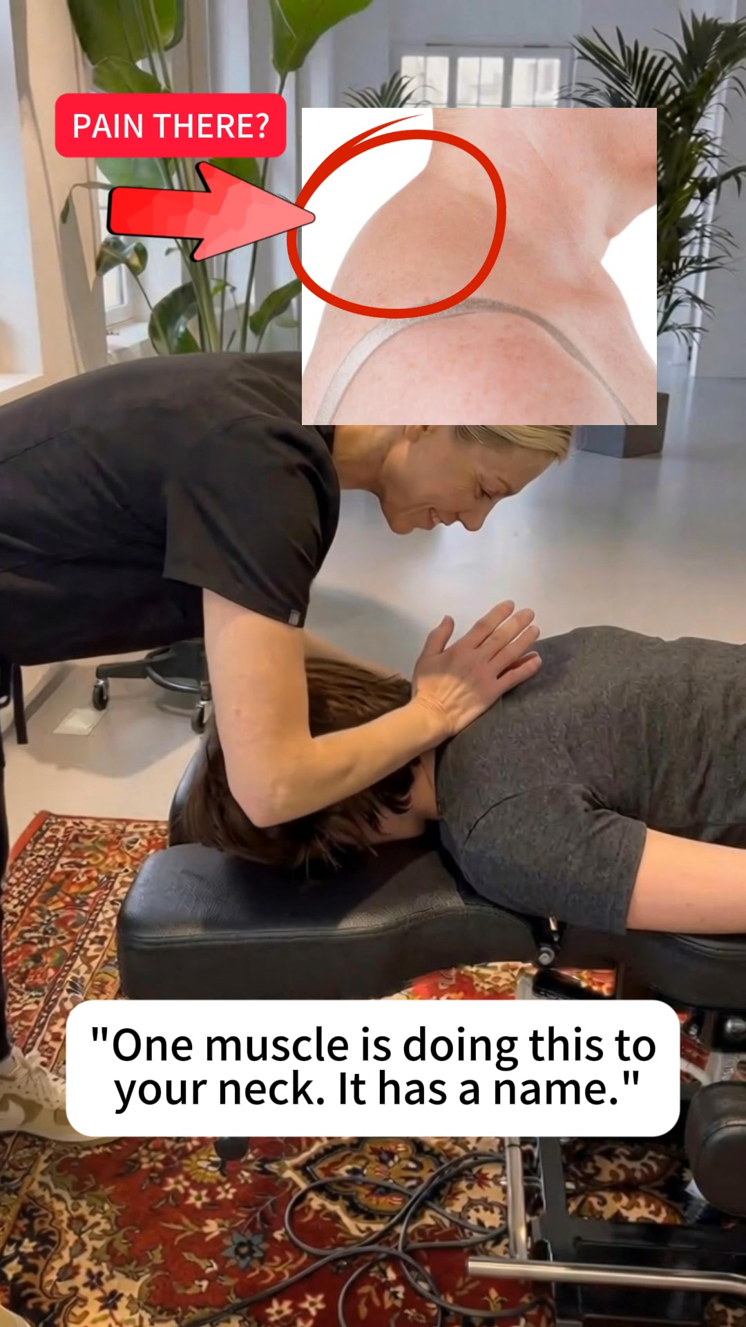 HiZoo Facebook ad: The muscle your posture brace can't reach