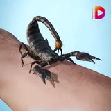Best Indian Shows Facebook ad: Watch & Earn!