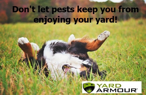 Lawn Doctor of Mchenry County Facebook ad