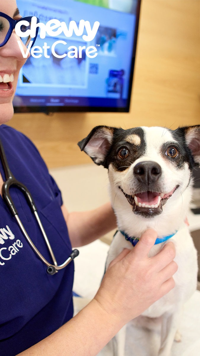Chewy Vet Care Facebook ad