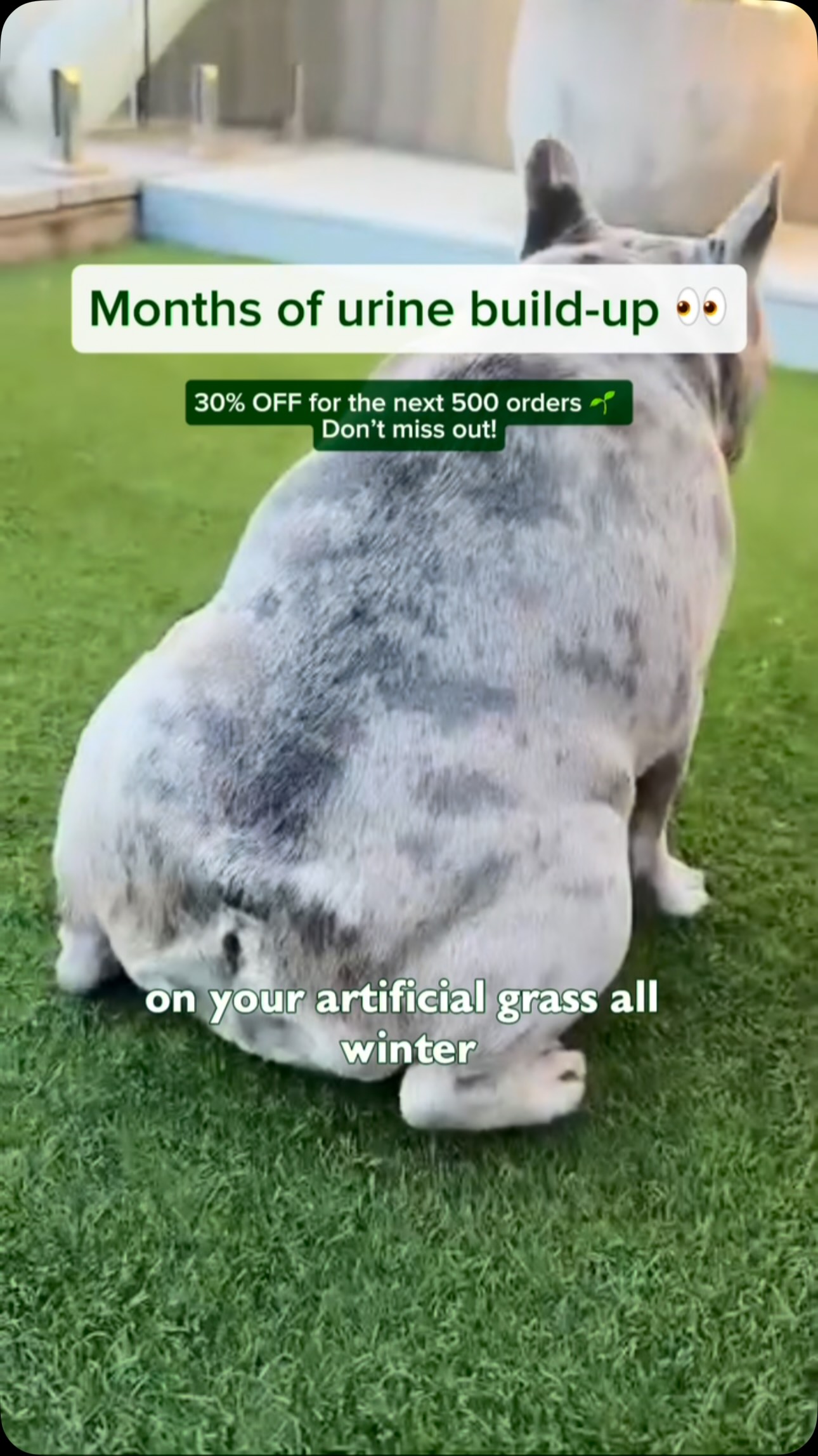 Turfy Facebook ad: Big Yard? Meet the Mega Kit.