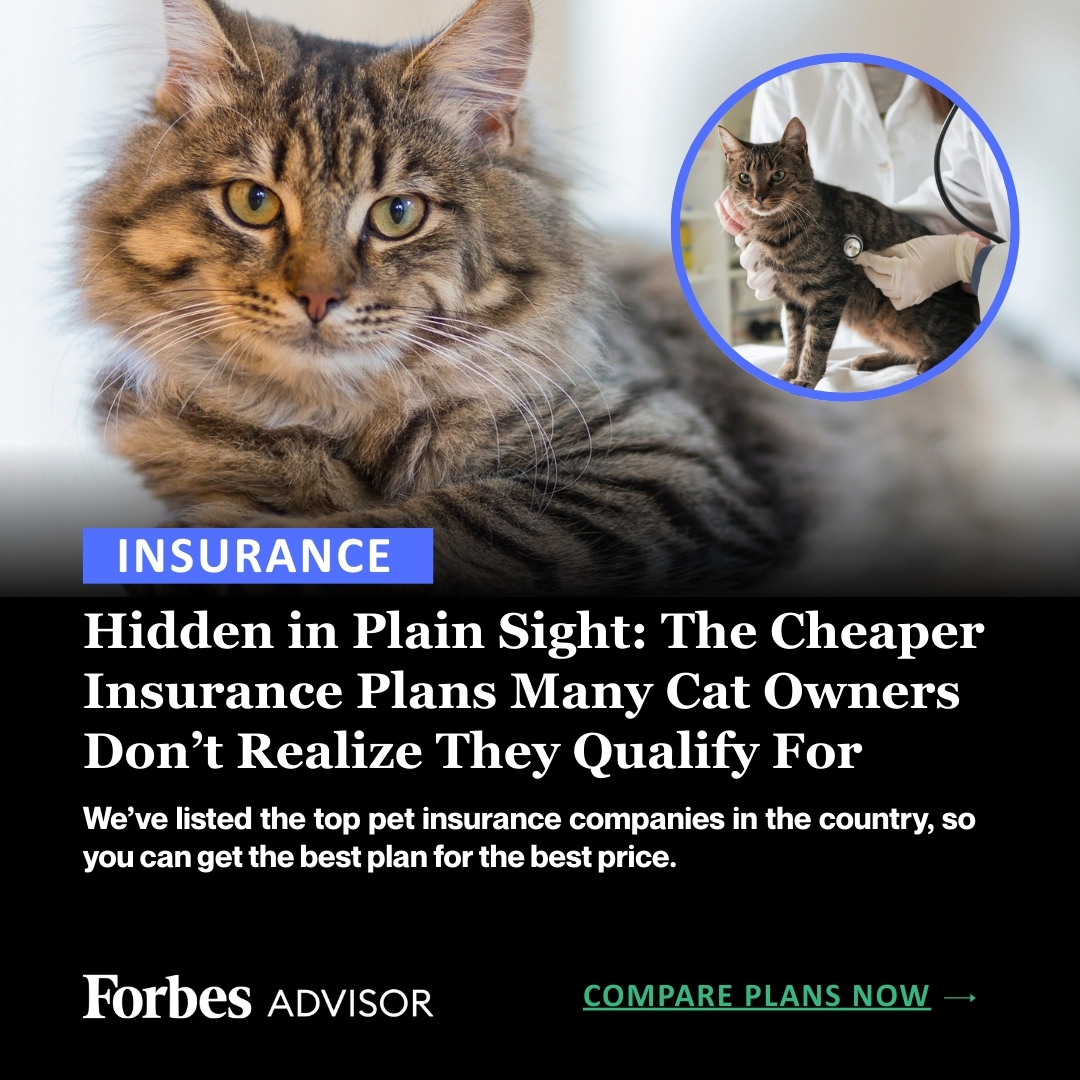 Forbes Advisor Facebook ad