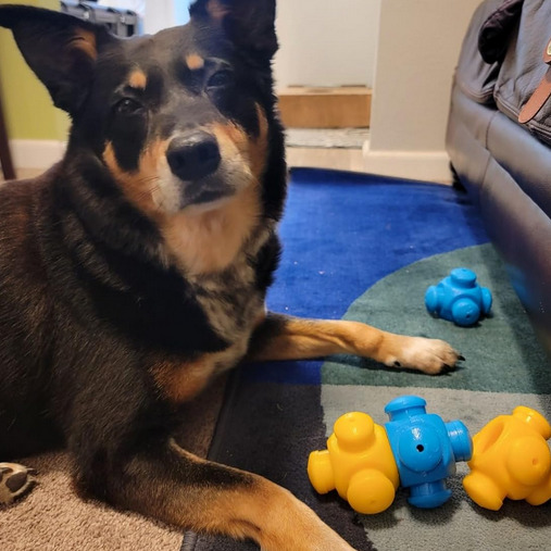 HoundGames Facebook ad: HOUNDGAMES Puppy Teething Mat, Puppy Play Mat with…