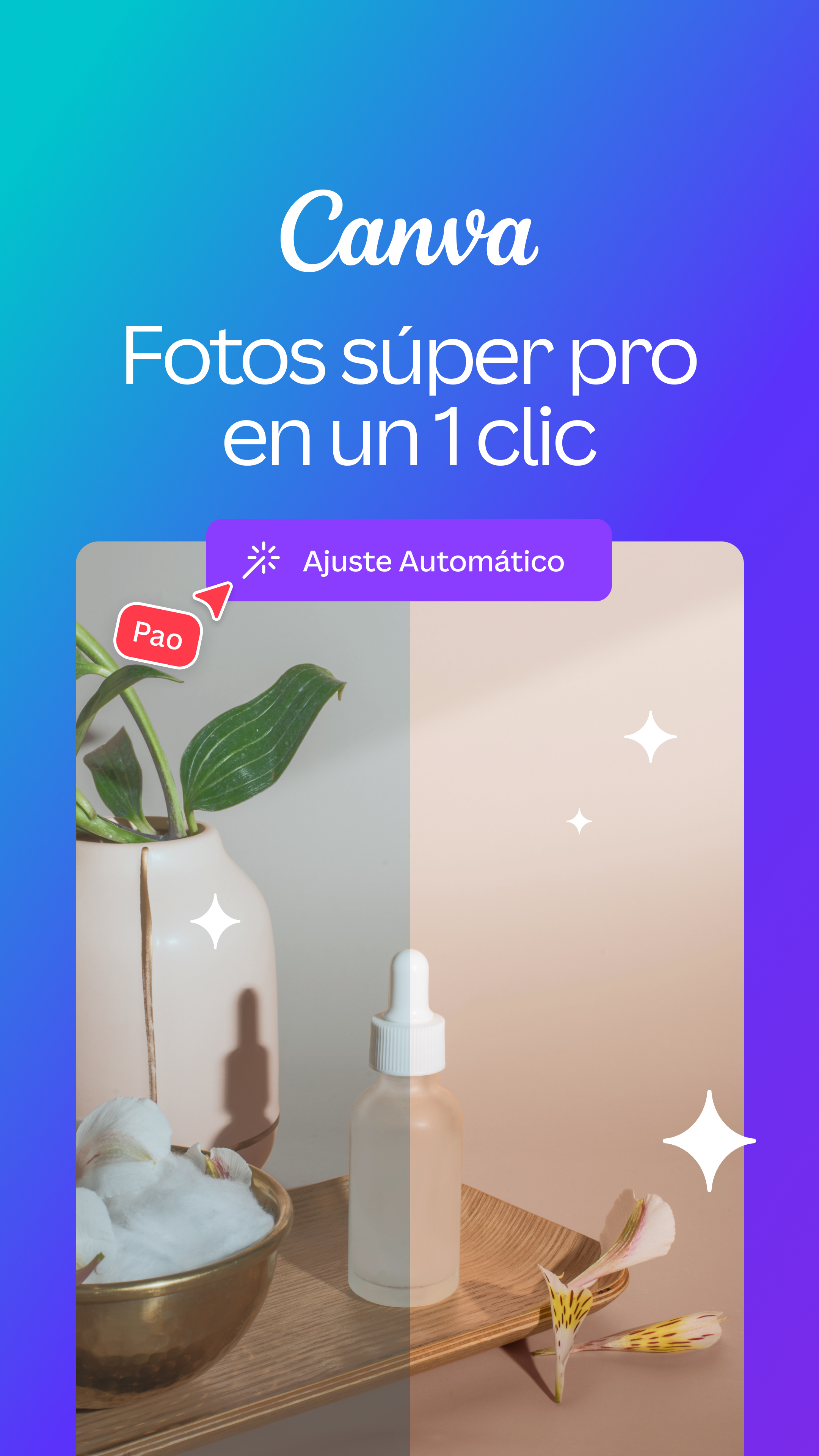 Canva Mexico Facebook ad