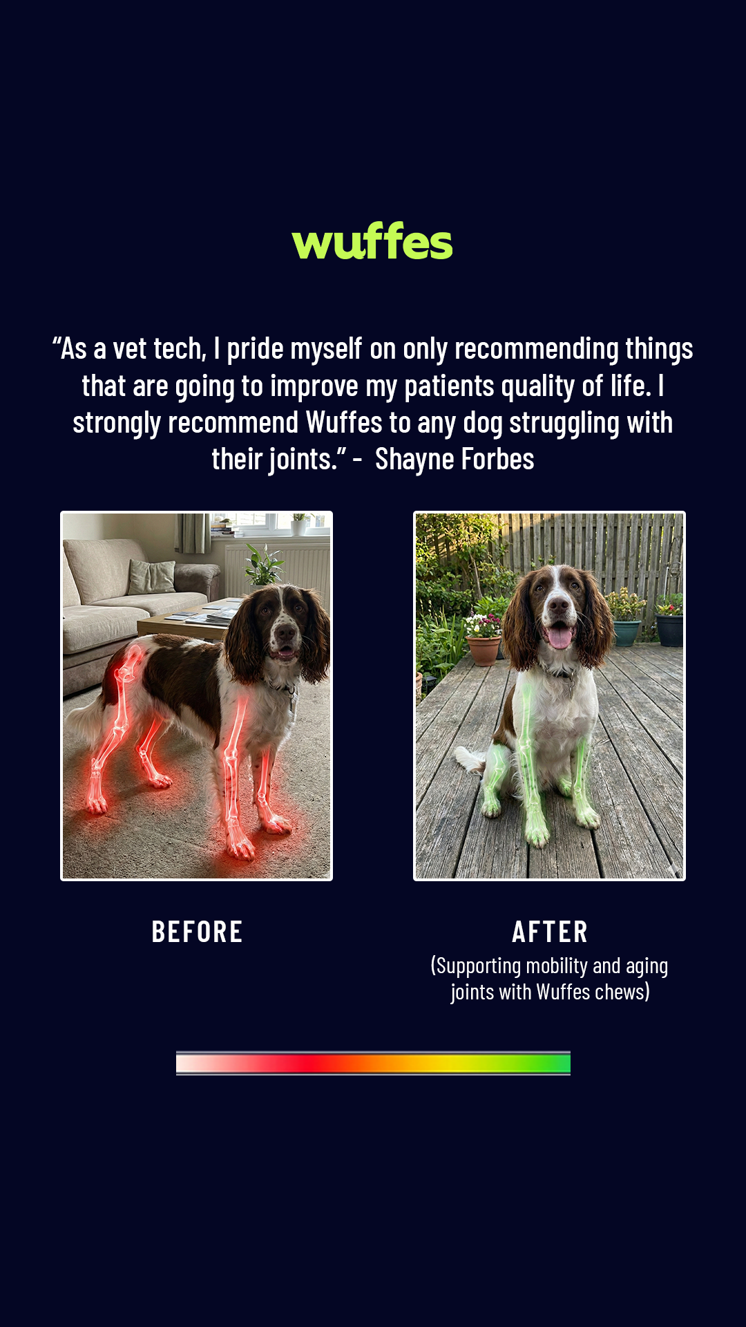 Everyday Pet Health Facebook ad